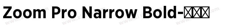 Zoom Pro Narrow Bold字体转换